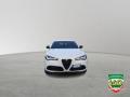usato ALFA ROMEO Stelvio