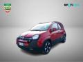 usato FIAT Panda Cross
