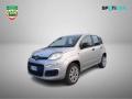 usato FIAT Panda