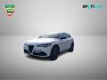 usato ALFA ROMEO Stelvio