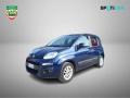 usato FIAT Panda