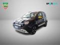 usato FIAT Panda Cross