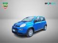 usato FIAT Panda