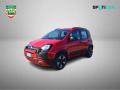 usato FIAT Panda