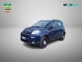 usato FIAT Panda Cross