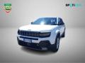 usato JEEP Avenger