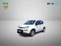 usato FIAT Panda