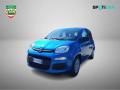 usato FIAT Panda