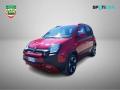 usato FIAT Panda Cross