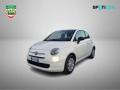 usato FIAT 500