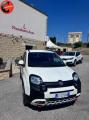 usato FIAT Panda Cross