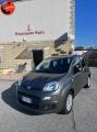 usato FIAT Panda
