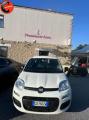 usato FIAT Panda