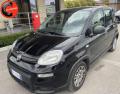 usato FIAT Panda