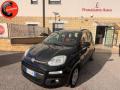usato FIAT Panda