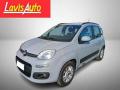 usato FIAT Panda