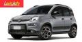 usato FIAT Panda