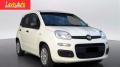 Km 0 FIAT Panda