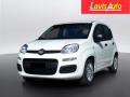 Km 0 FIAT Pandina