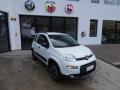 usato FIAT Panda