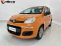 usato FIAT Panda