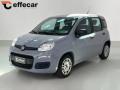 usato FIAT Panda