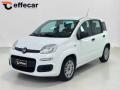 usato FIAT Panda