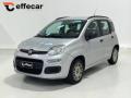 usato FIAT Panda