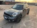 usato MINI Countryman
