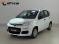 usato FIAT Panda