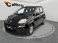 usato FIAT Panda