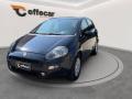 usato FIAT Punto