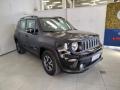 usato JEEP Renegade