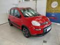 usato FIAT Panda