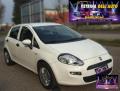 usato FIAT Punto