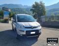 usato FIAT Panda