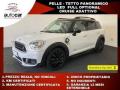 usato MINI Countryman