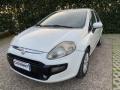 usato FIAT Punto Evo