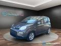 usato FIAT Panda
