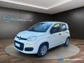 usato FIAT Panda