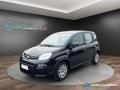 usato FIAT Panda
