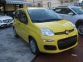 usato FIAT Panda