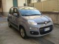 usato FIAT New Panda