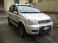 usato FIAT Panda