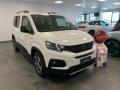 usato PEUGEOT Rifter