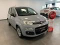usato FIAT Panda