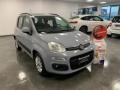 usato FIAT Panda