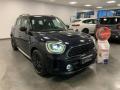 usato MINI Countryman