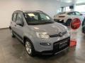 usato FIAT Panda