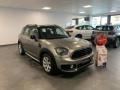 usato MINI Countryman